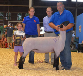 Sedalia - MidWest Stud Ram Sale